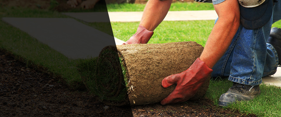 Saint John Landscapers